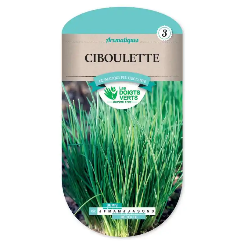 Ciboulette – sachet de graines 2g – les doigts verts Livraison Express