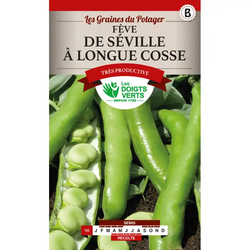 Feves de seville longues cosses – graines 250g – les doigts verts Expédié Aujourd&rsquo;hui