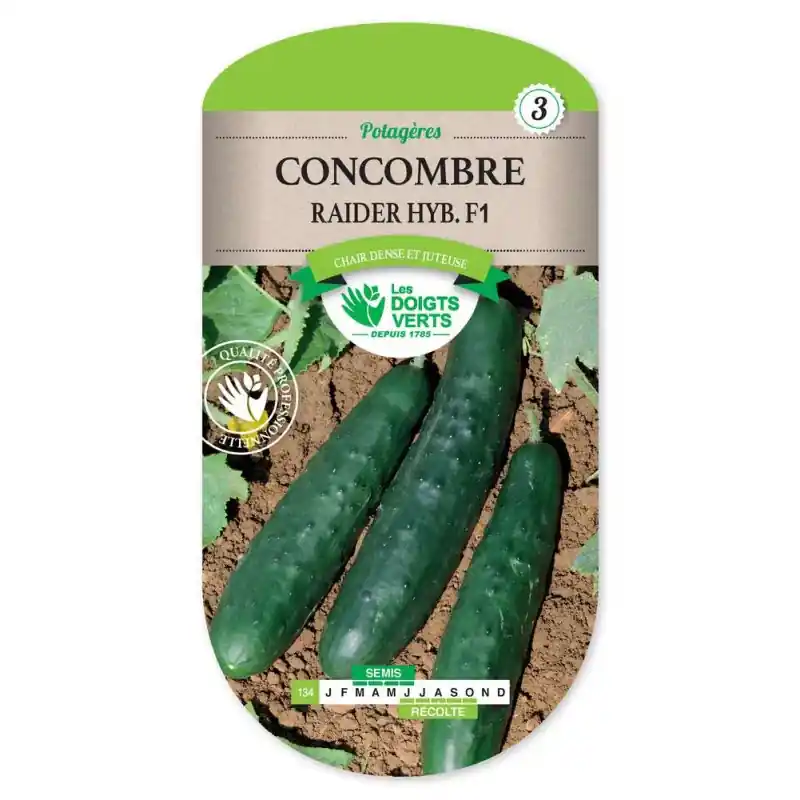 Concombre raider hyb.f1 – sachet de graines 0,5g – les doigts verts Offre Exclusive