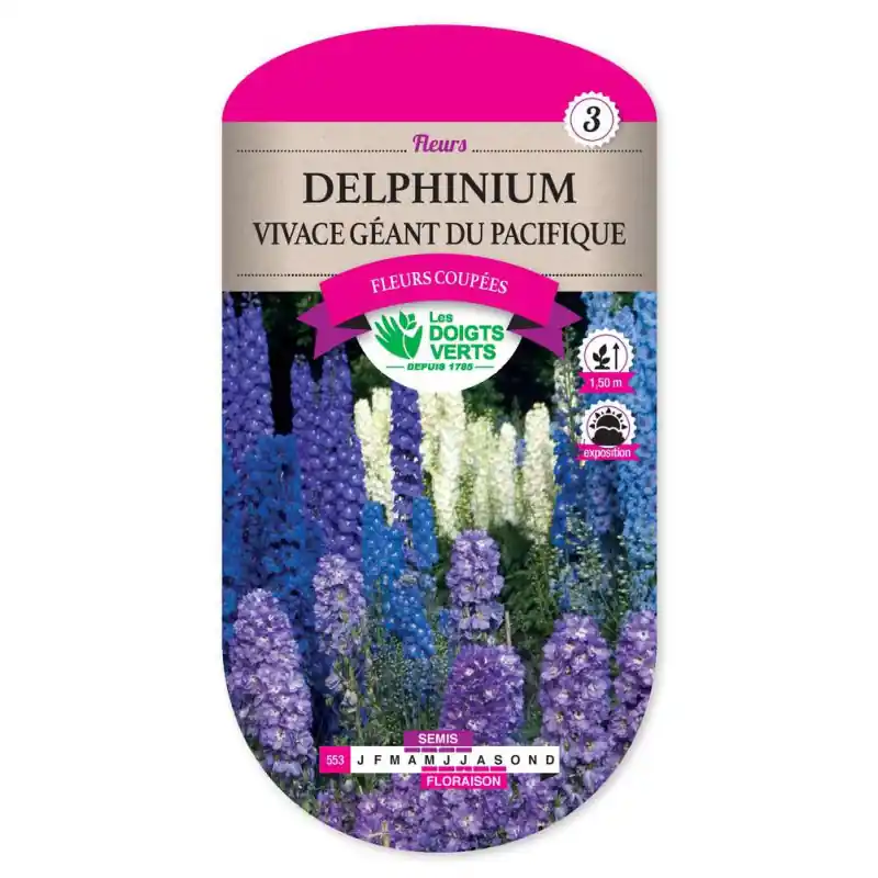 Seulement Aujourd&rsquo;hui Delphinium viv. gt du pacifique – graines 0,8g – les doigts verts