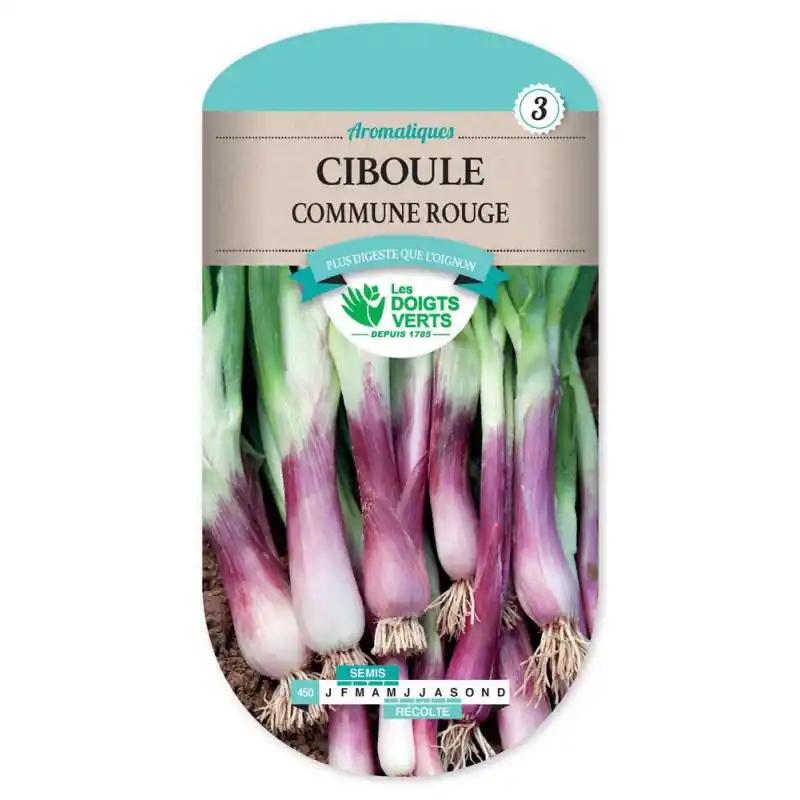 Commander Maintenant Ciboule rouge – sachet de graines 2g – les doigts verts