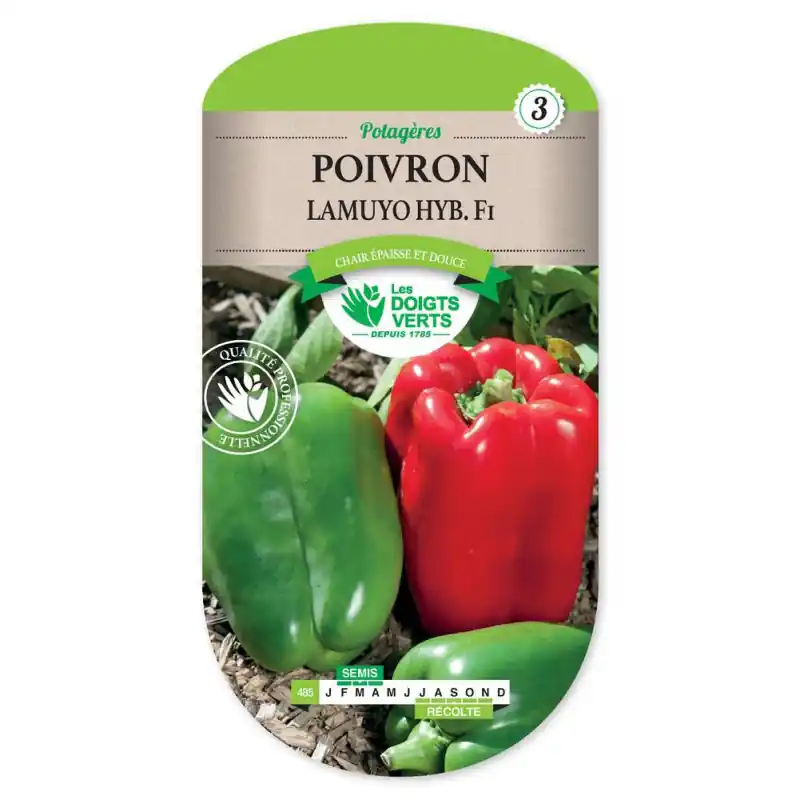 Poivron lamuyo hybride f1 – graines 0,2g – les doigts verts Affaire À Saisir