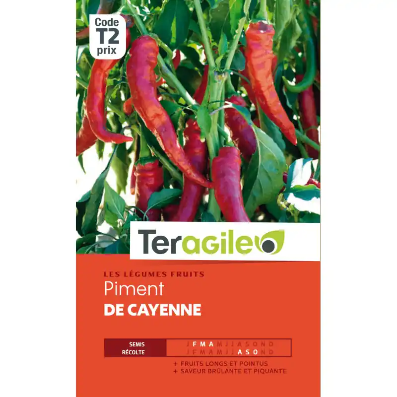 Piment de cayenne t2 teragile Remise