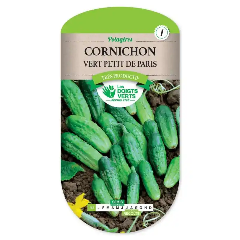 Cornichon vert petit de paris. – graines 4g – les doigts verts Achat Immédiat