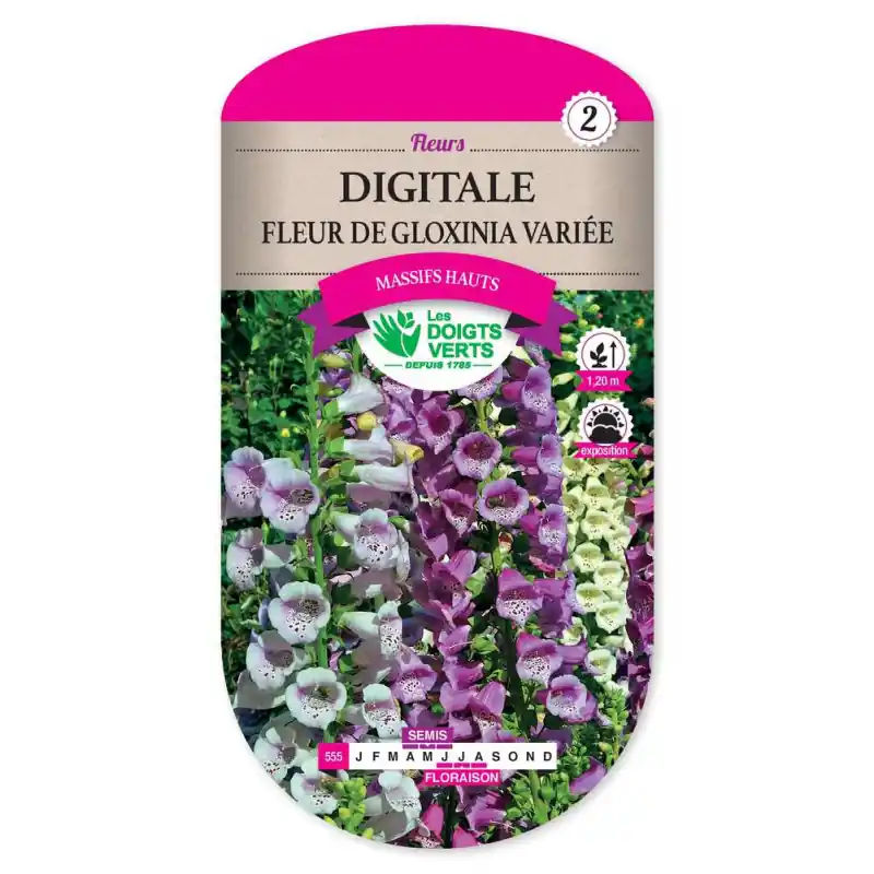 Digitale fleur gloxinia variee – graines 1,5g – les doigts verts Dernière Chance