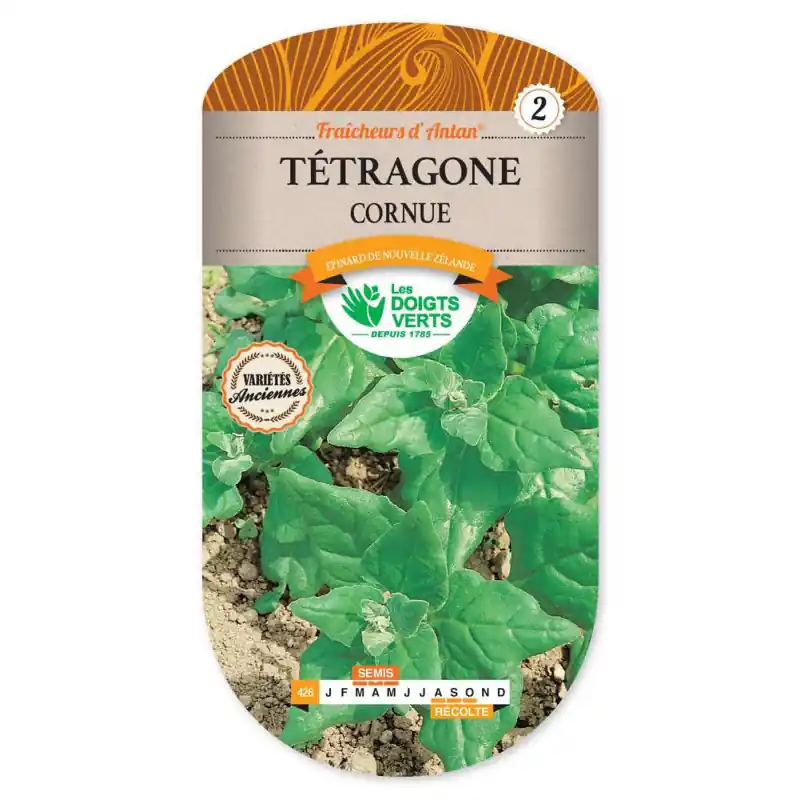 Tetragone cornue – sachet de graines 6g – les doigts verts Prix Cassé