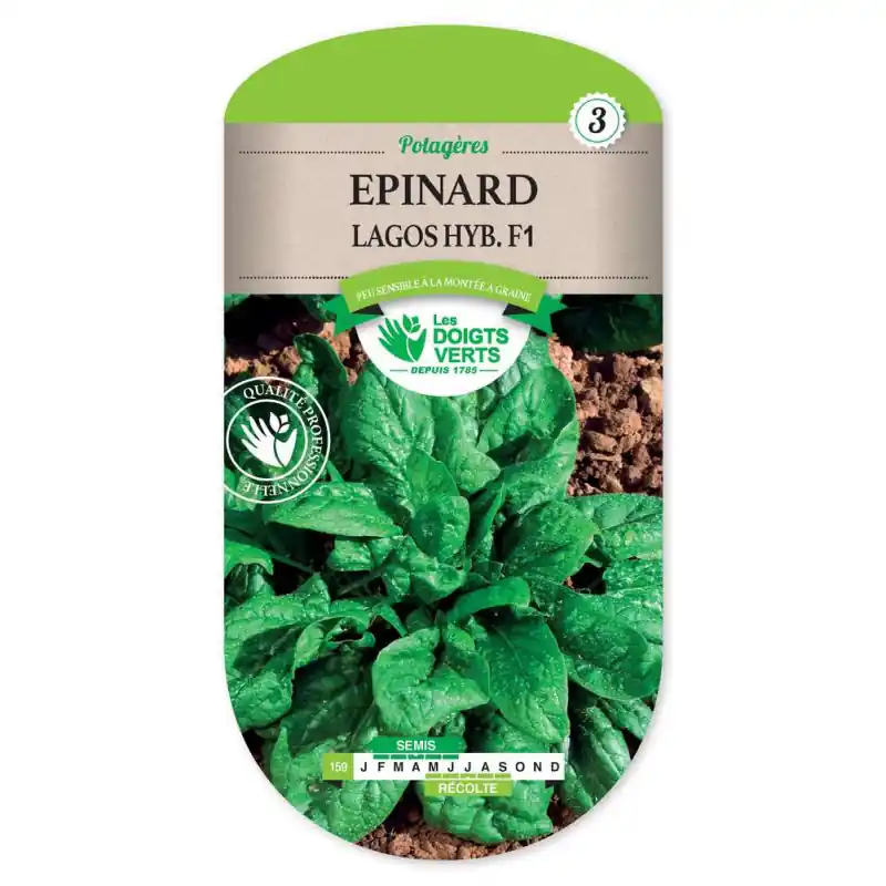 Epinard lagos hyb.f1 (ete) – graines 10g – les doigts verts Bon Plan