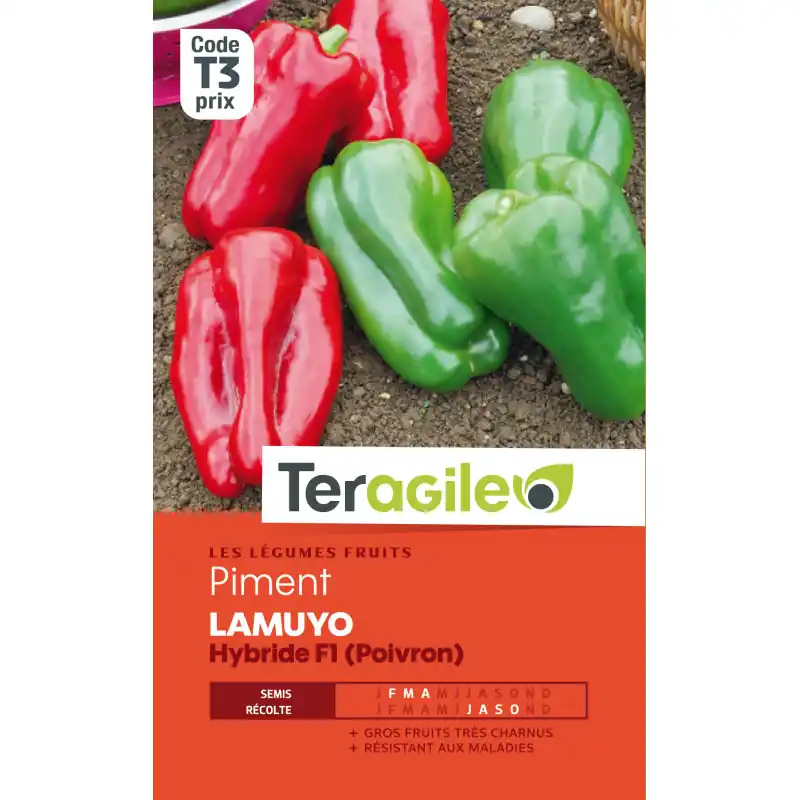Solde Poivron lamuyo f1 t3 teragile