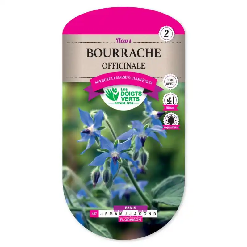 Bourrache officinale – sachet de graines 3g – les doigts verts Petit Prix
