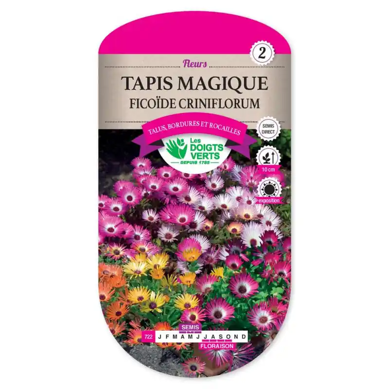Tapis magique ficoide criniflor. – graines 1g – les doigts verts Vente Directe