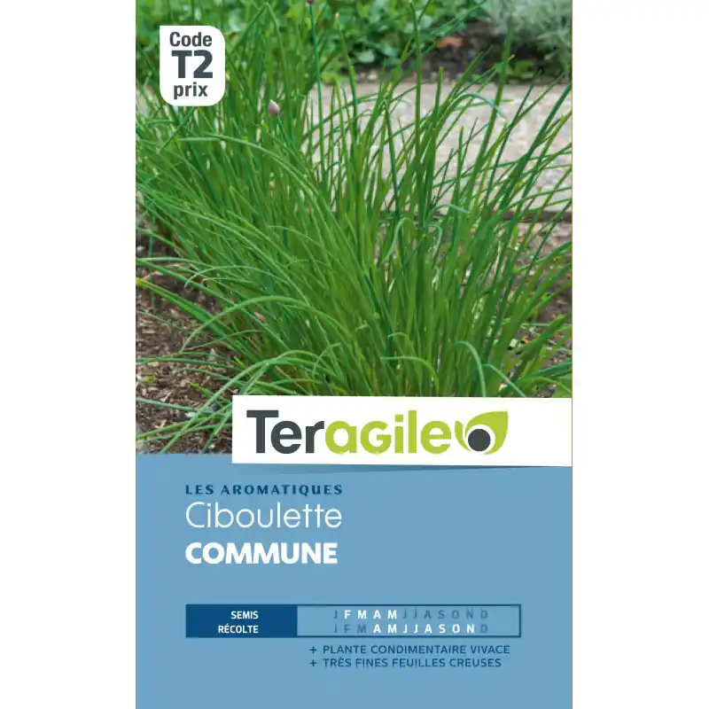 Seulement Aujourd&rsquo;hui Ciboulette 1,50 g