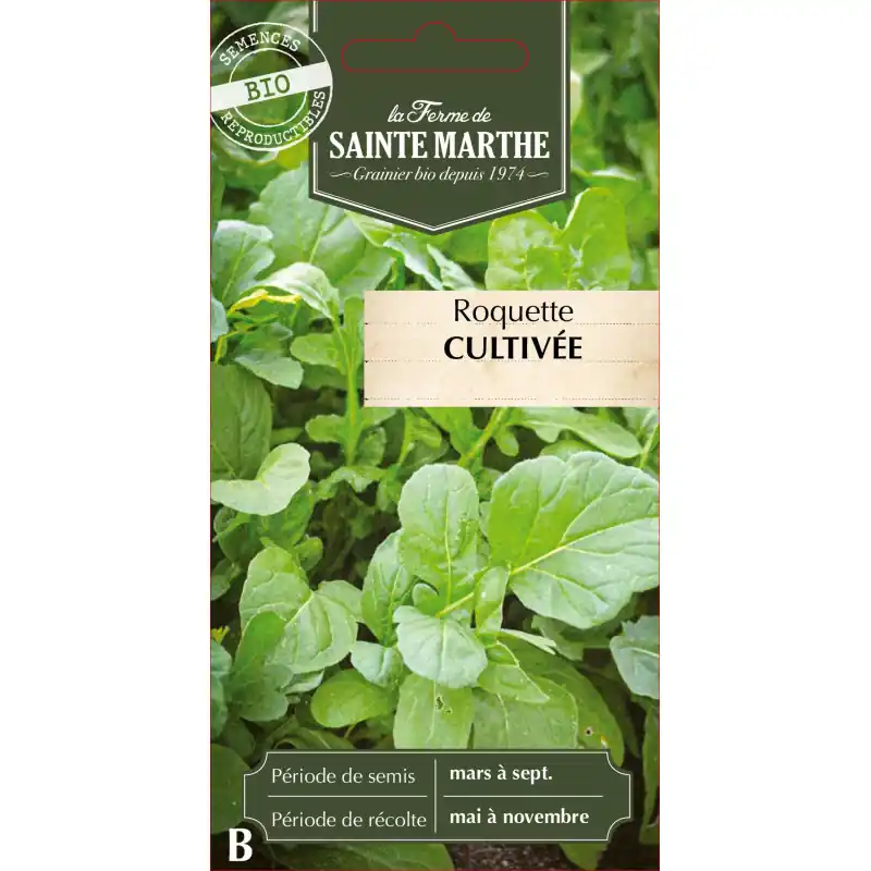 Roquette cultivée bio de la ferme sainte marthe, fraîche et savoureuse – graines à semer Prix Bas