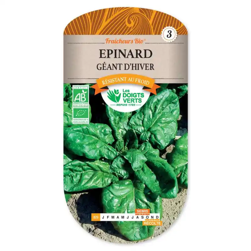 Offre Limitée Epinard geant d‘hiver bio – graines 10g – les doigts verts