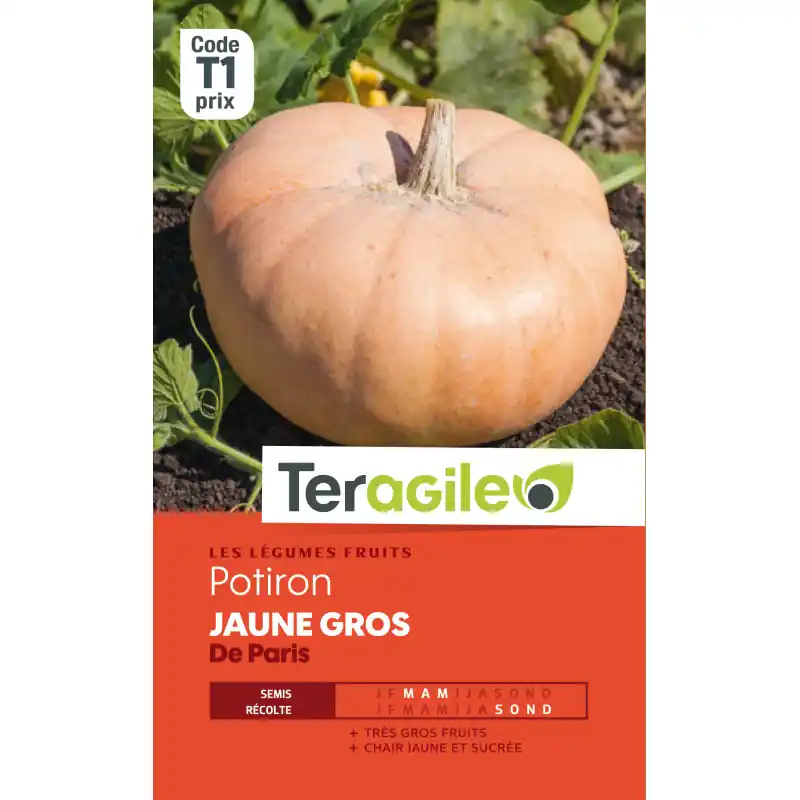 Meilleur Prix Potiron jaune gros de paris t1 teragile