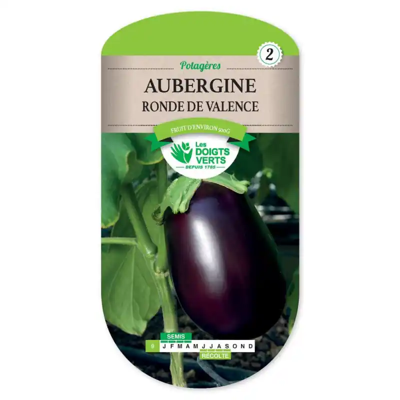 Aubergine ronde de valence – graines 2,5g – les doigts verts Expédié Aujourd&rsquo;hui