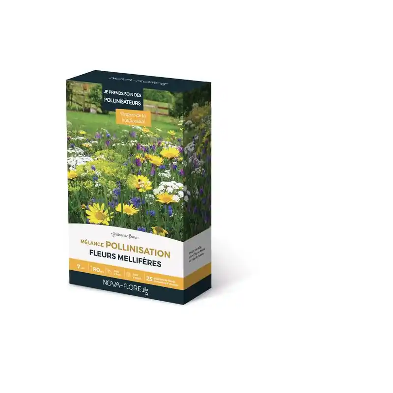 Acheter Direct Mélange de Pollinisation 7m² – Stimulez la biodiversité de votre jardin !