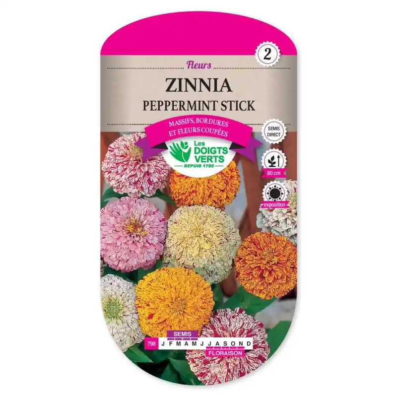 Haute Qualité Zinnia peppermint – sachet de graines 2g – les doigts verts