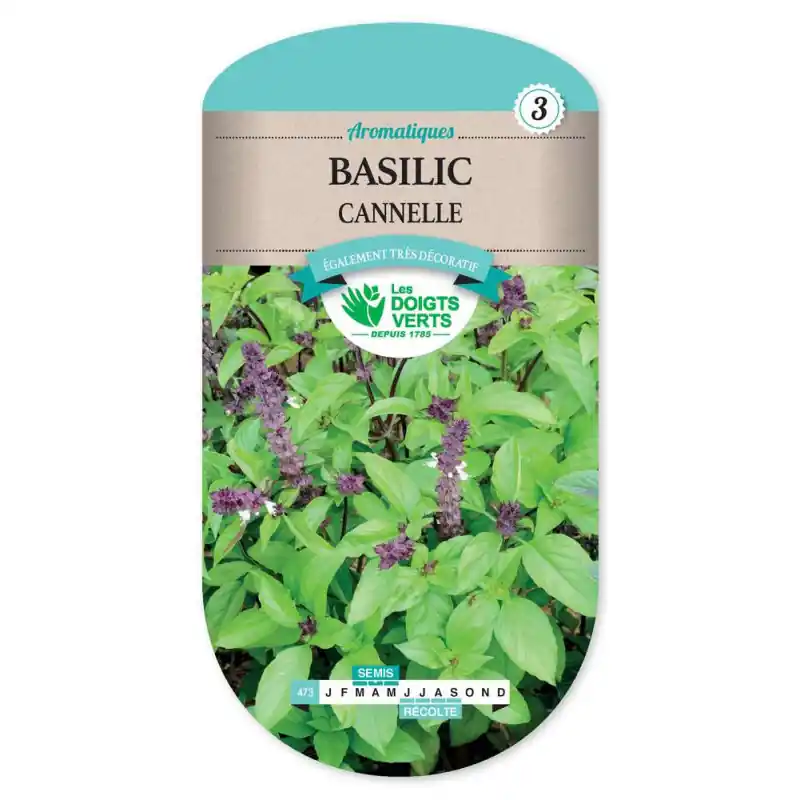 Basilic cannelle – sachet de graines 2g – les doigts verts Meilleure Vente