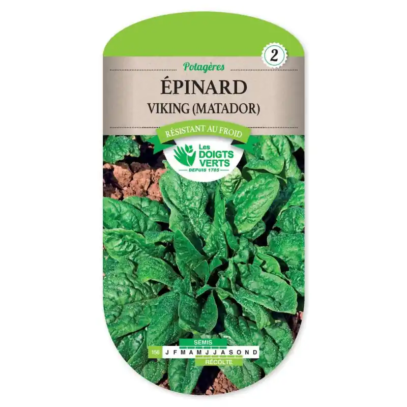 Epinard viking matador – sachet de graines 10g – les doigts verts Petit Prix