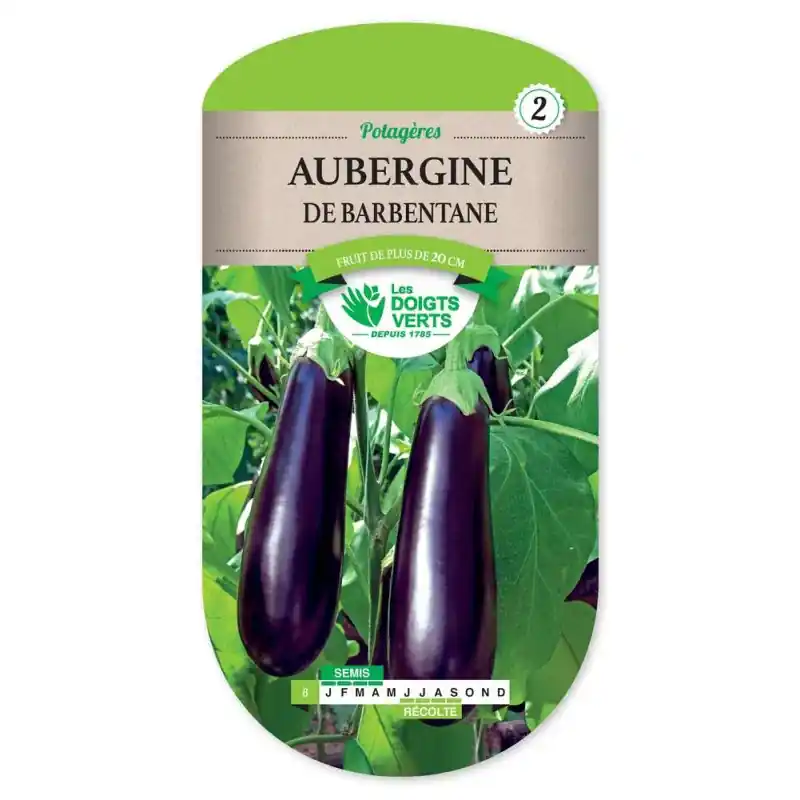 Aubergine de barbentane – sachet de graines 2,5g – les doigts verts Populaire