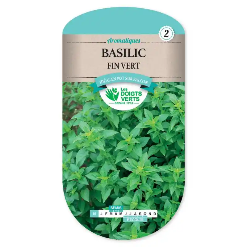 Basilic fin vert - sachet de graines 3g - les doigts verts Achetez Aujourd'hui