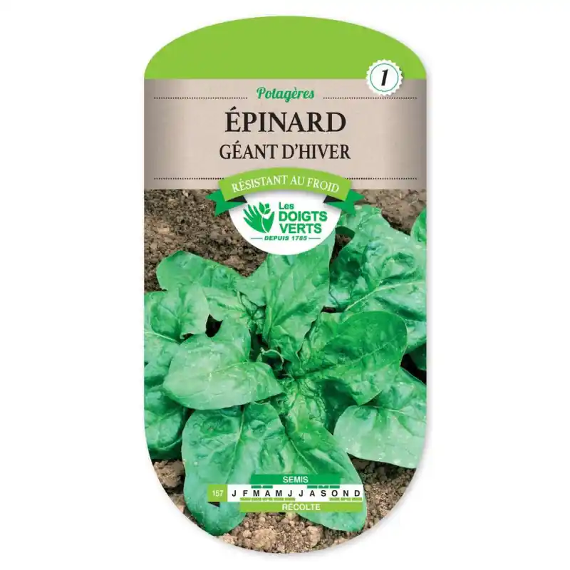 Commande En Gros Epinard geant d‘hiver – sachet de graines 10g – les doigts verts