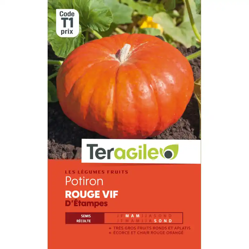 Achat Immédiat Potiron rouge vif detampes t1 teragile