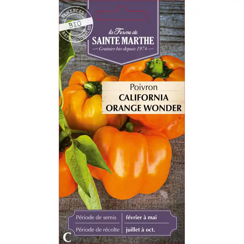 Nouvel Arrivage Poivron california orange wonder sainte marthe bio pour jardin potager - graines à semer