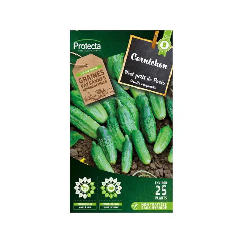 Produit De Marque Cornichon vert petit de paris – 3g de graines