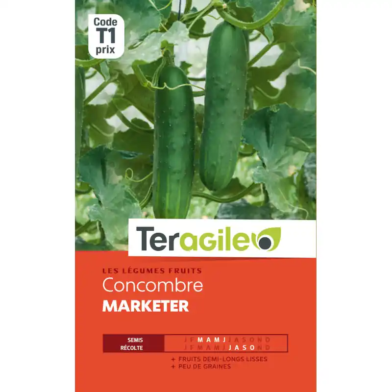 Meilleur Choix Concombre marketer t1 teragile