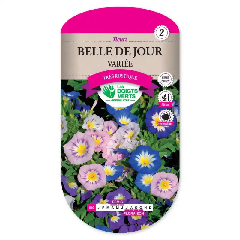 Meilleur Prix Belle de jour variee – sachet de graines 4g – les doigts verts