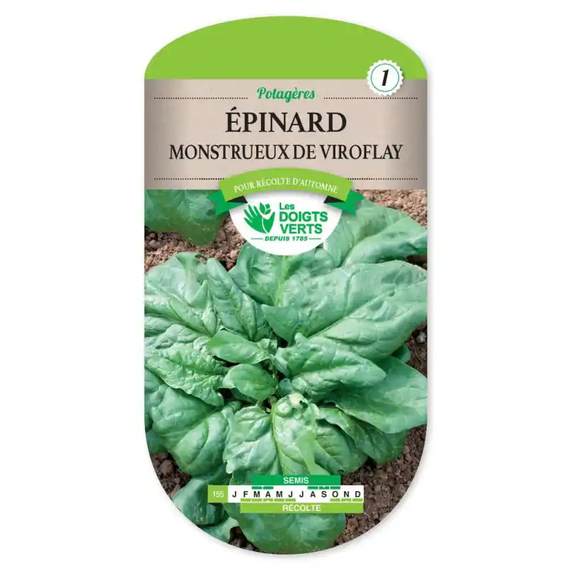Soldes Epinard monstrueux de viroflay – graines 10g – les doigts verts
