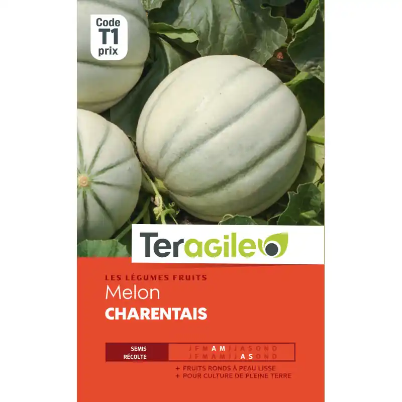 Melon charentais t1 teragile Expédié Aujourd&rsquo;hui