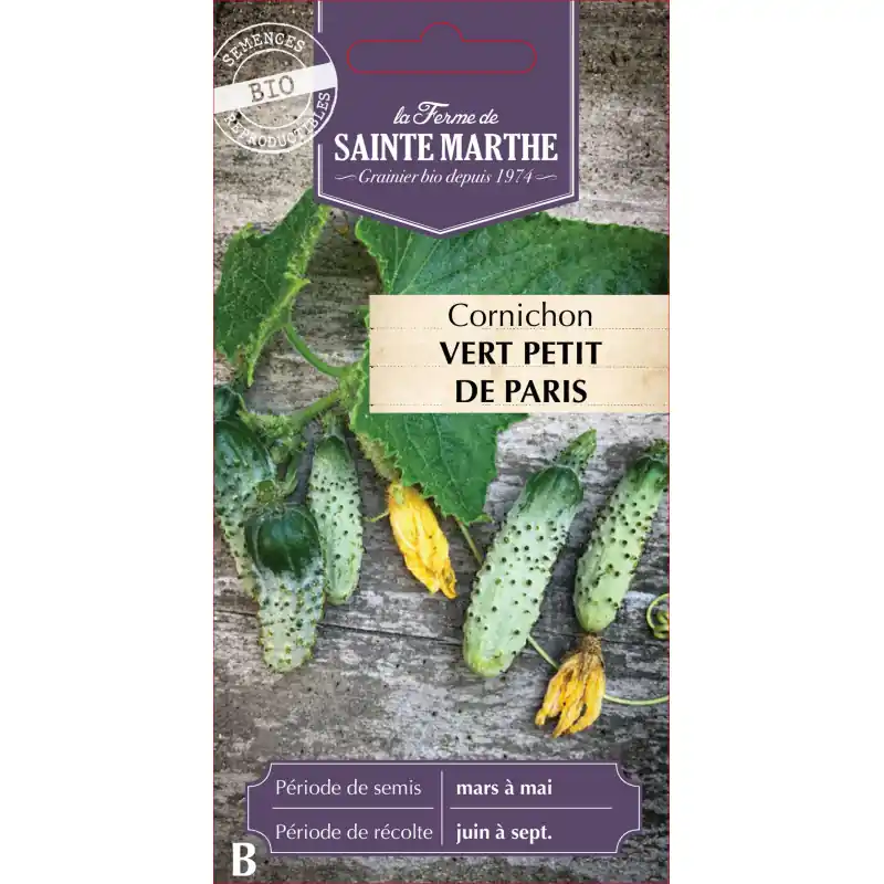 Cornichon vert petit bio de paris - sainte marth, légumes croquants et savoureux - graines à semer Retour Gratuit