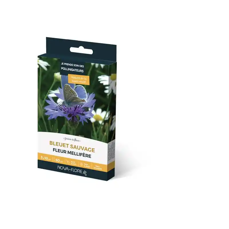Bleuet Sauvage 3m² – Plante Aromatique Naturelle pour Jardin Écologique Remise