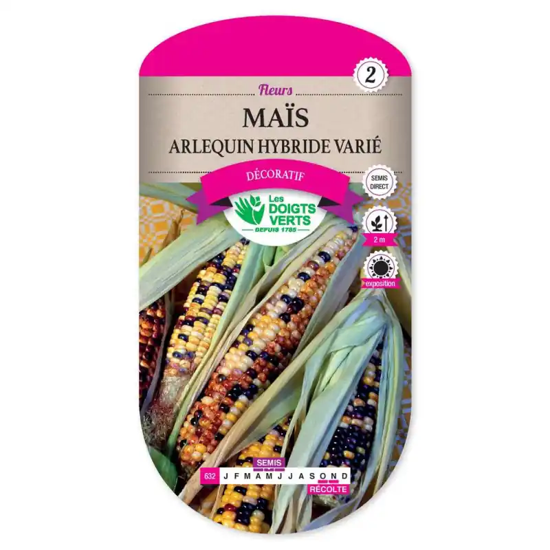 Mais arlequin hybride varie – graines 10g – les doigts verts Vente Flash