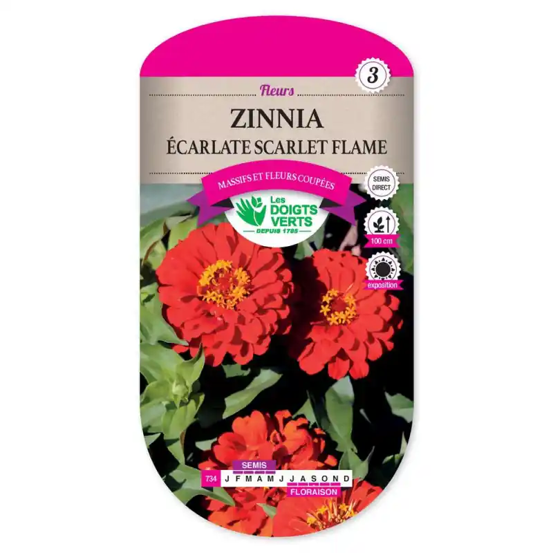 Zinnia ecarlate scarlet flame – graines 2g – les doigts verts Produit De Marque