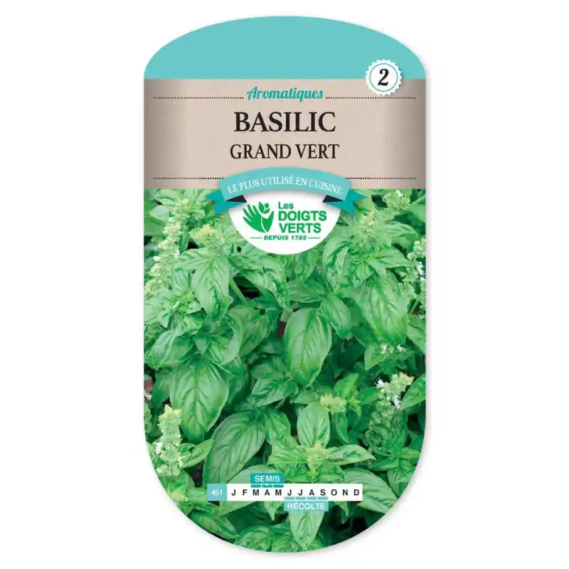 Offre Exclusive Basilic grand vert – sachet de graines 4g – les doigts verts
