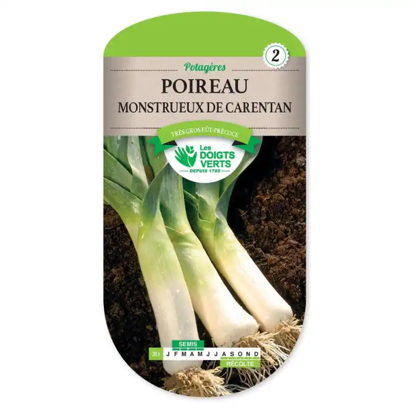 Poireau monstrueux de carentan 2 – graines 4g – les doigts verts Seulement Aujourd&rsquo;hui