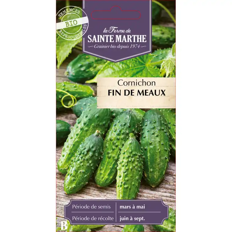 Offre Limitée Cornichon fin de meaux bio de la ferme sainte marthe 350g – graines à semer