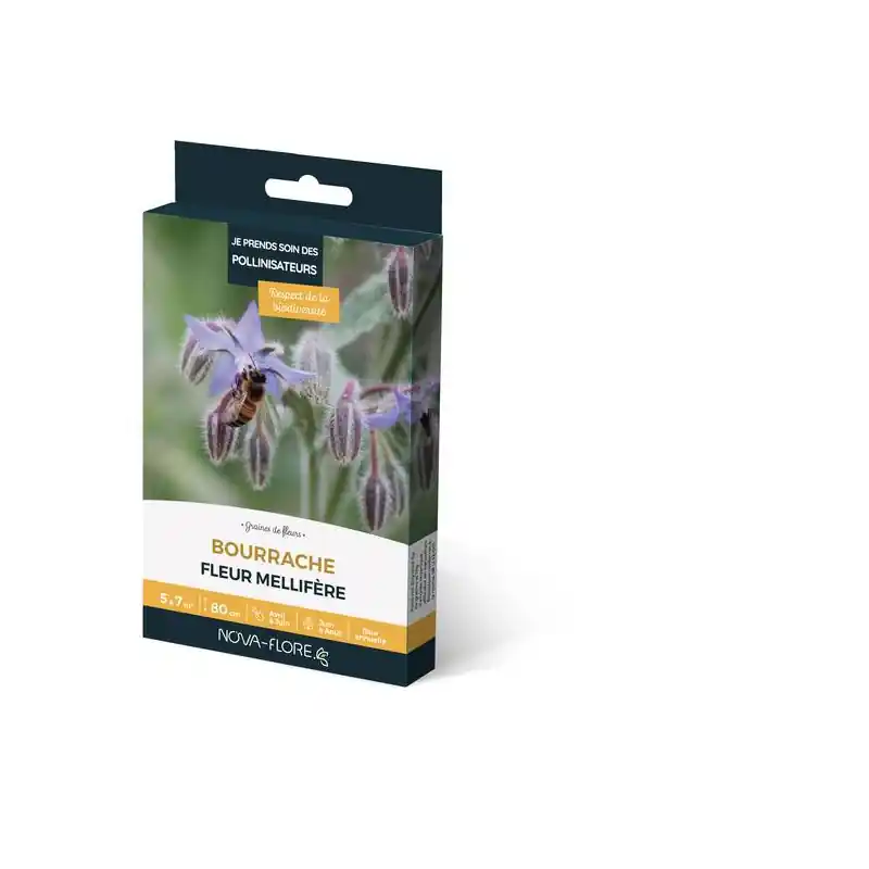 Bourrache 3M² – graines pour jachère et pollinisateurs Offre Du Jour
