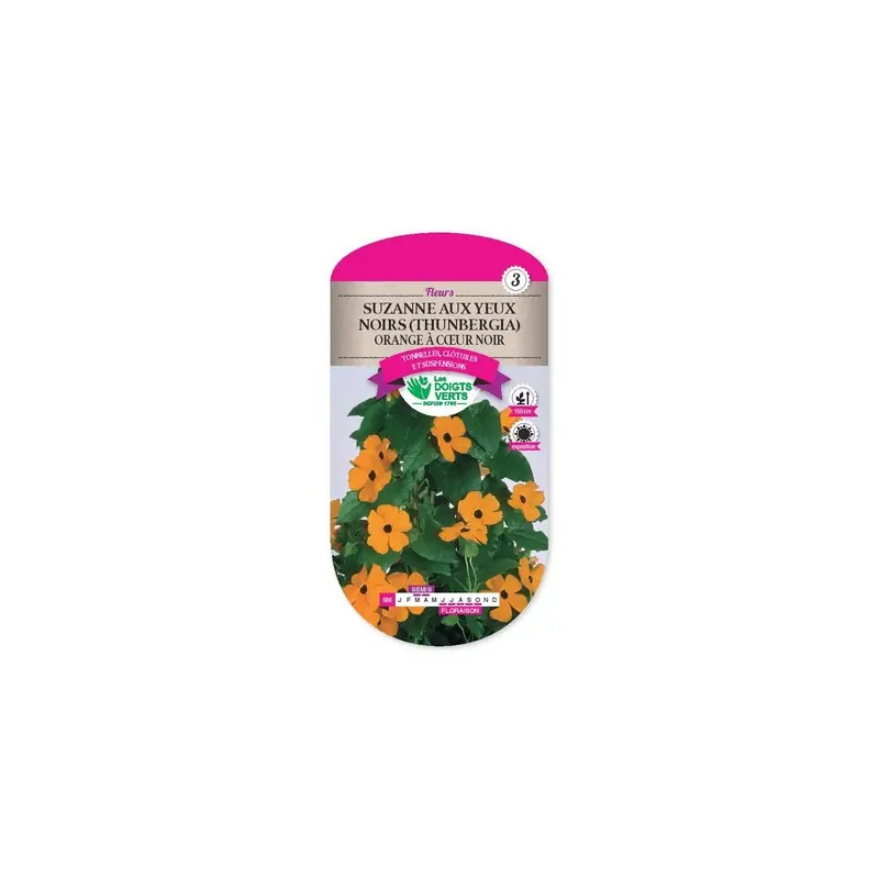 Thunbergia orange à centre noir – graines 1g – les doigts verts Affaire À Saisir
