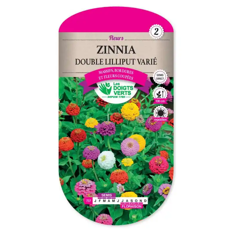 Usine Directe Zinnia double lilliput varie – graines 2g – les doigts verts