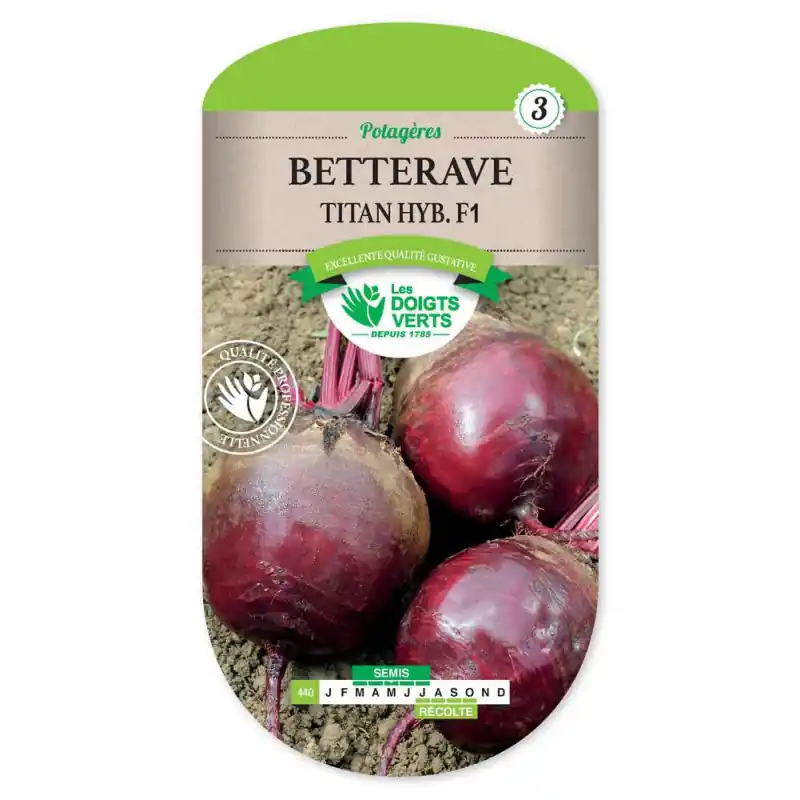 Betterave titan hyb .f1 – sachet de graines 3g – les doigts verts Nouvelle Collection