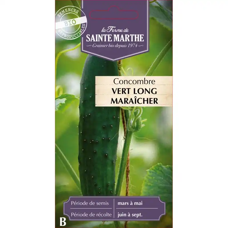 Concombre vert long bio maraîcher de sainte marth 500g fraîcheur garantie – graines à semer Authentique