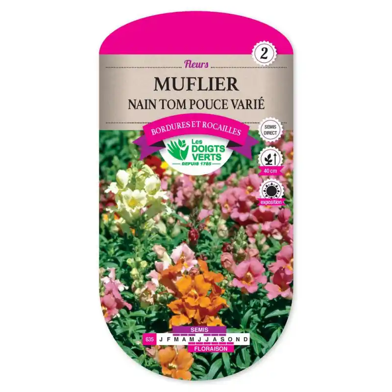 Muflier nain tom pouce varie – graines 0,8g – les doigts verts Prix Choc