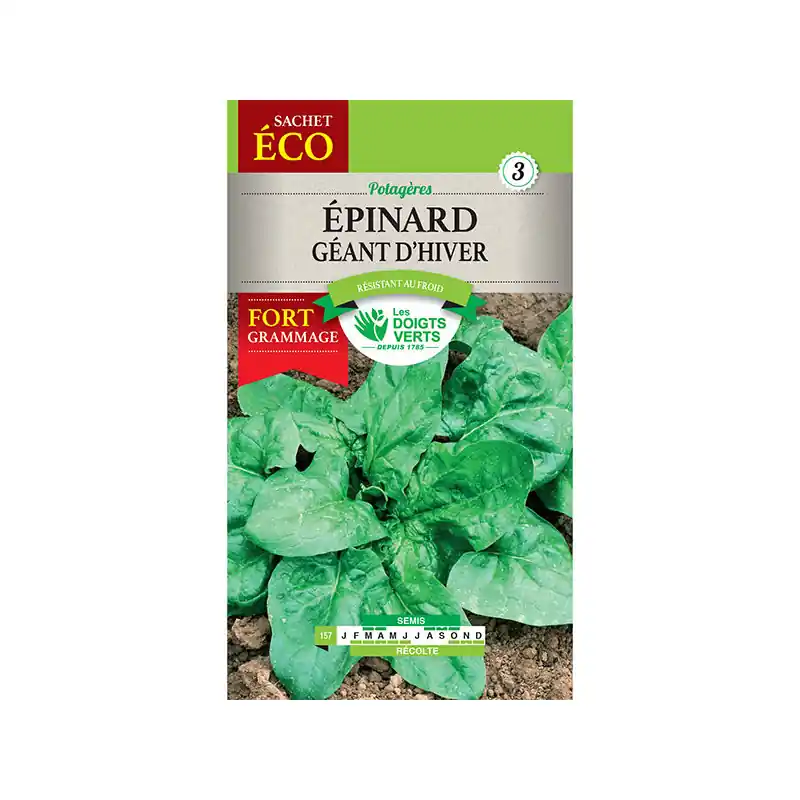 Epinard geant d‘hiver – sachet de graines 30g – les doigts verts Authentique