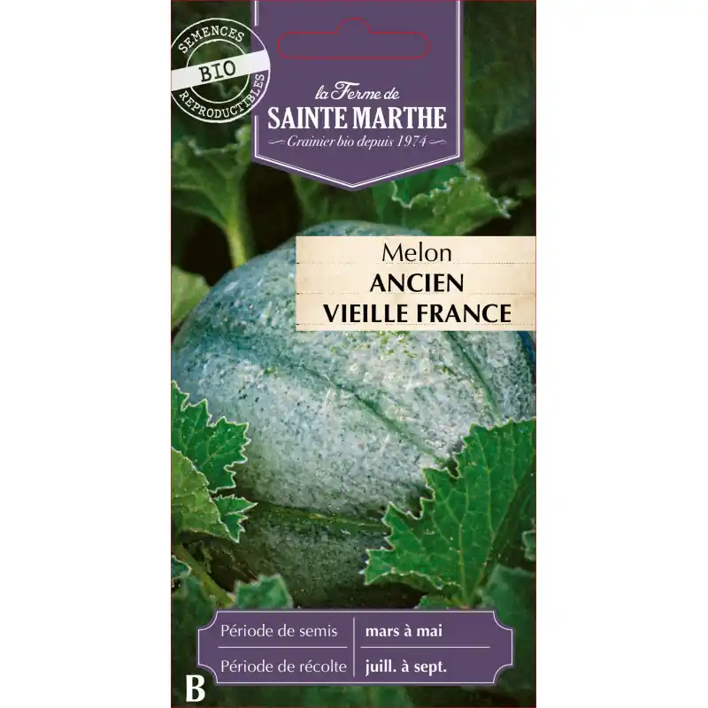 Prix Choc Melon ancien bio vieille france de sainte marthe délicieux et sucré - graines à semer