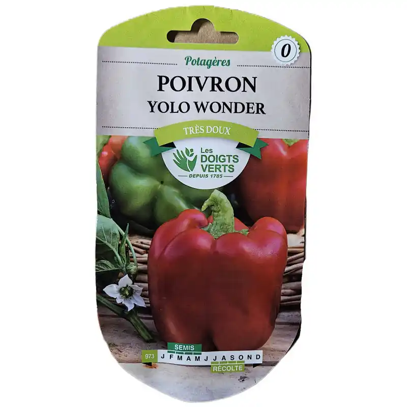 POIVRON doux Yolo Wonder – graines 2g – Les doigts verts Dernier Modèle