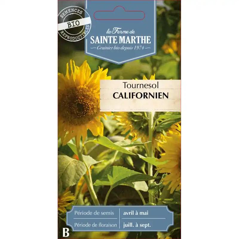 Tournesol californien bio de la ferme sainte marthe – graines à semer Haute Qualité